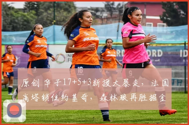 原创 华子17+5+3新援大暴走，法国高塔锁住约基奇，森林狼再胜掘金