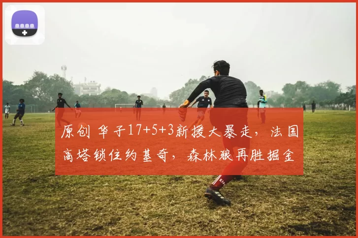 原创 华子17+5+3新援大暴走，法国高塔锁住约基奇，森林狼再胜掘金