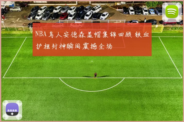 NBA鸟人安德森盖帽集锦回顾 铁血护框封神瞬间震撼全场