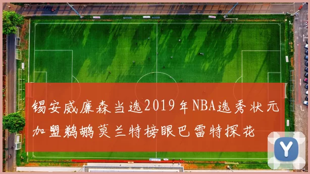 锡安威廉森当选2019年NBA选秀状元加盟鹈鹕莫兰特榜眼巴雷特探花